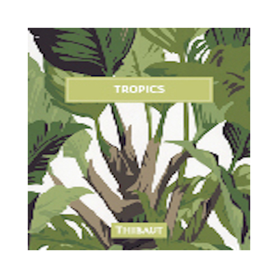 Thibaut's Book "Tropics"