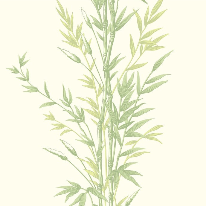 Sample 100/5023 Bamboo Cole and Son Wallpaper