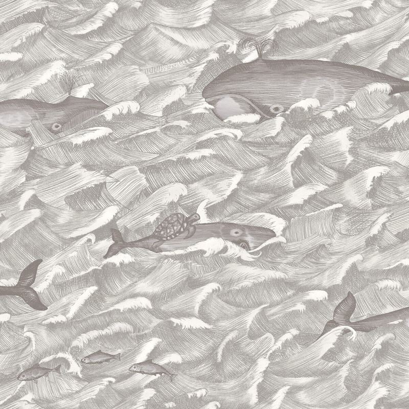 Sample 103/1004 Melville Cole and Son Wallpaper