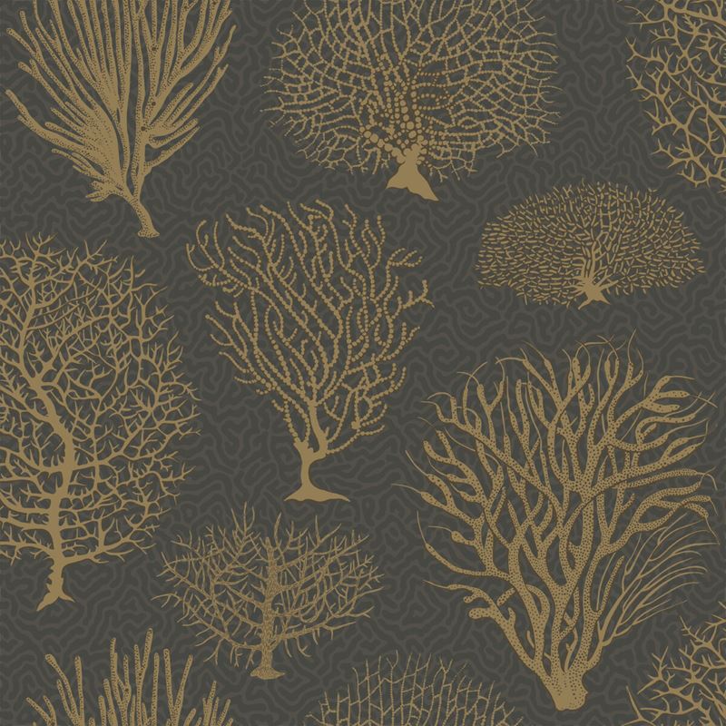 Sample 107/2006 Seafern Black and Gold by Cole and Son