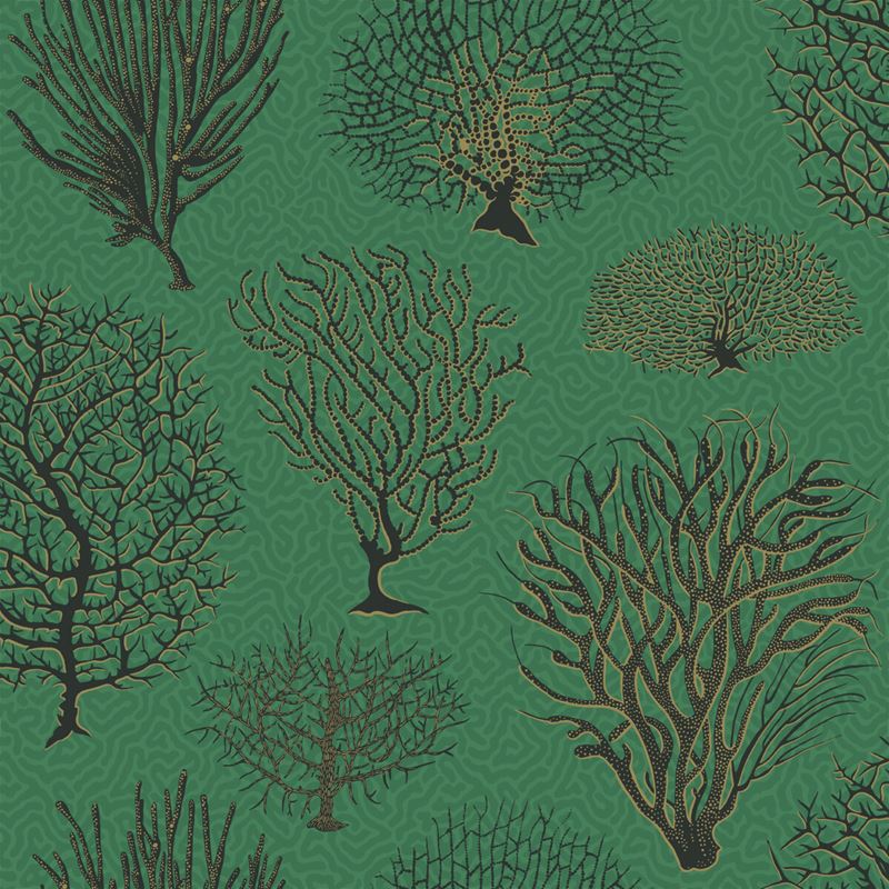 Sample 107/2007 Seafern Emerald by Cole and Son