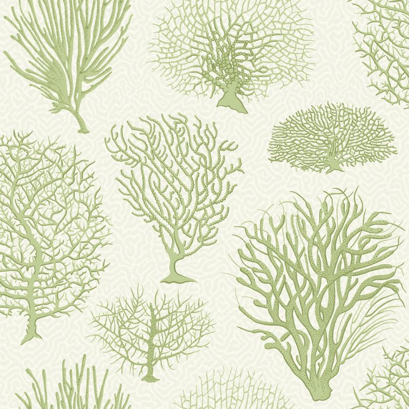 Sample 107/2008 Seafern Soft Green by Cole and Son