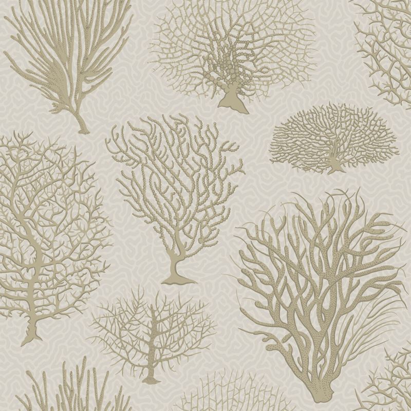 Sample 107/2010 Seafern Stone by Cole and Son