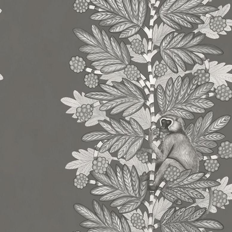 Sample 109/11055 Acacia Charcoal Silver by Cole and Son