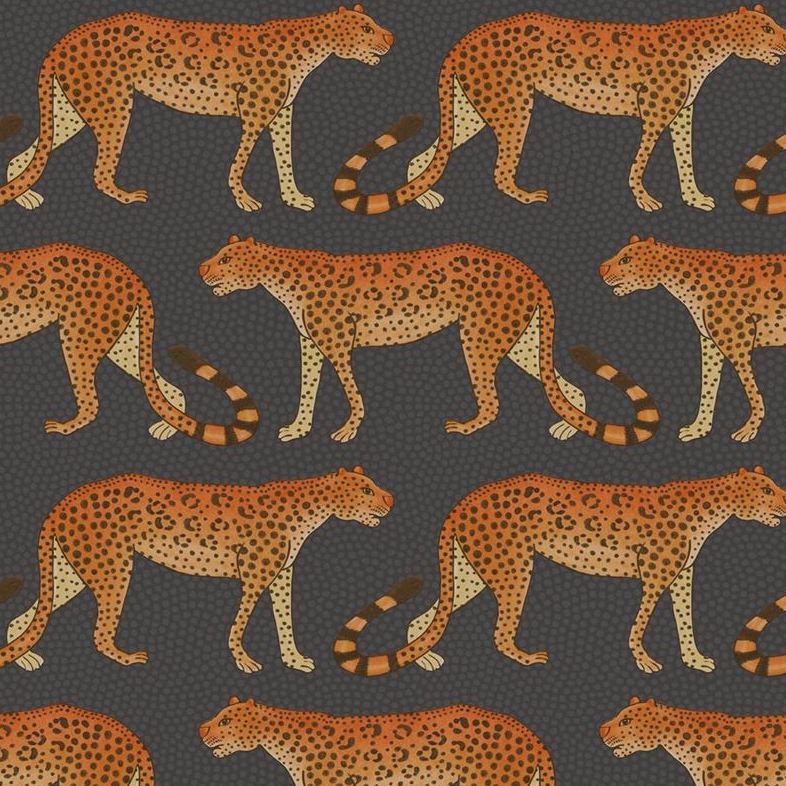 Sample 109/2008 Leopard Walk Charcoal Orange by Cole and Son