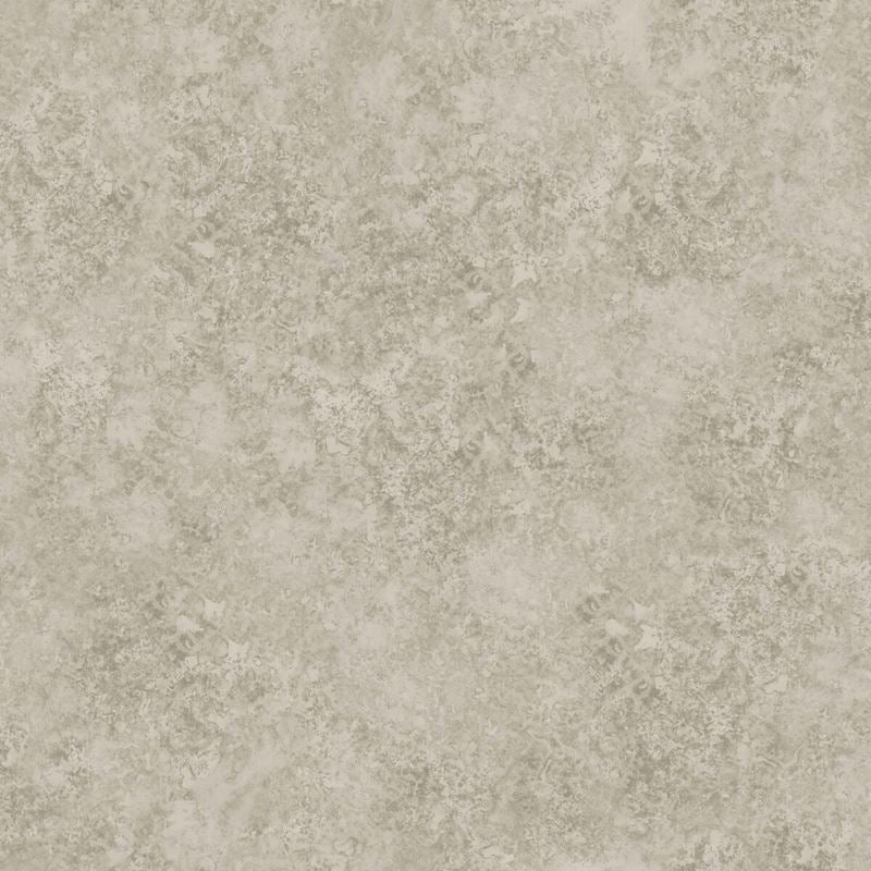 Sample 113-9026 Patina Haze Warm Gilver by Cole and Son