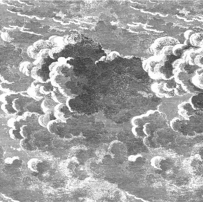 Sample 114-28054 Nuvolette, Black White N A by Cole and Son Wallpaper