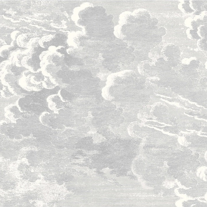 Sample 114-28055 Nuvolette, Soot Snow Print by Cole and Son Wallpaper