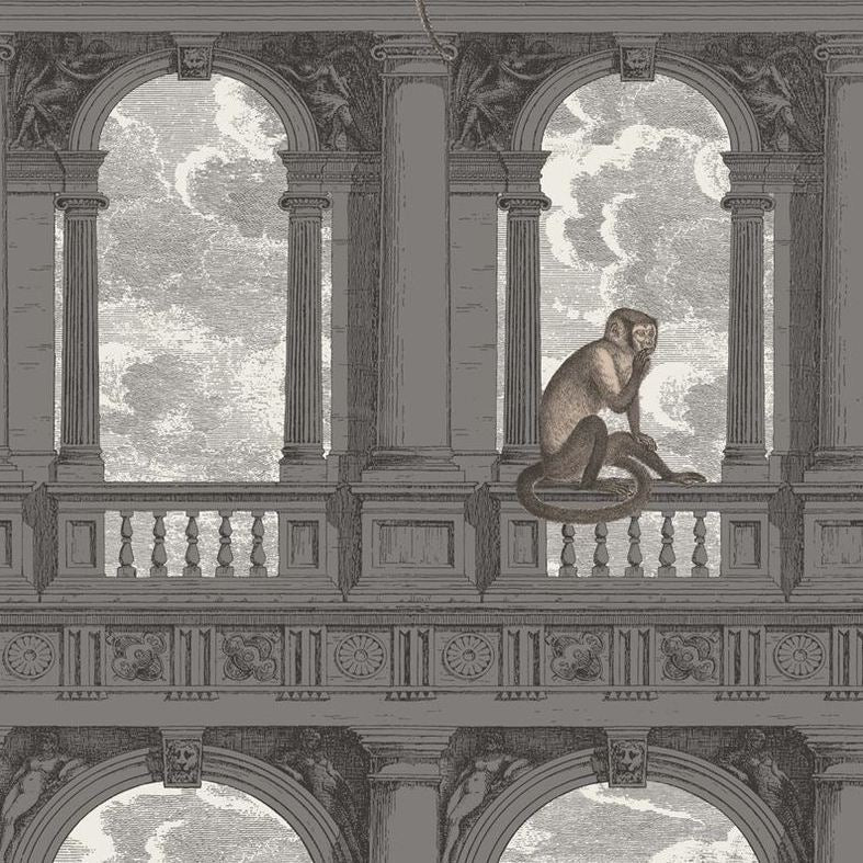 Sample 114-8016 Procuratie Con Vista, Soot and Snow Print by Cole and Son Wallpaper