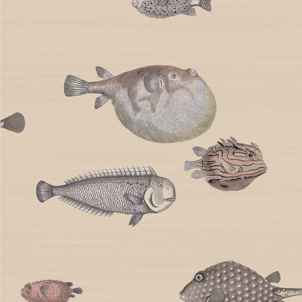 Buy 114/16033 Cs Acquario Taupe By Cole and Son Wallpaper