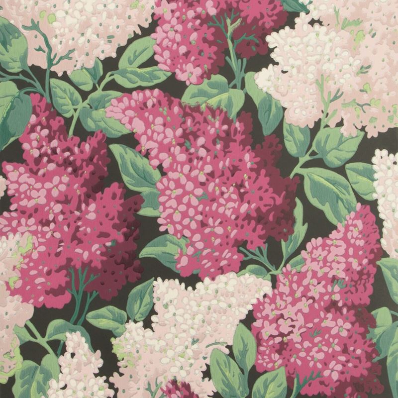 Sample 115-1001 Lilac, Magenta Blush Charco Print by Cole and Son Wallpaper
