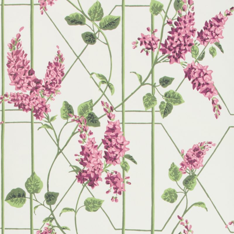 Sample 115-5013 Wisteria, Magenta Green Wh Print by Cole and Son Wallpaper