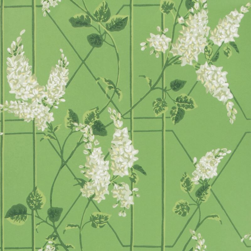 Sample 115-5016 Wisteria, Sage Leaf Green Print by Cole and Son Wallpaper