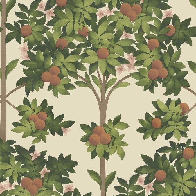 Sample 117/1001 Orange Blossom Orange Botanical Cole and Son Wallpaper
