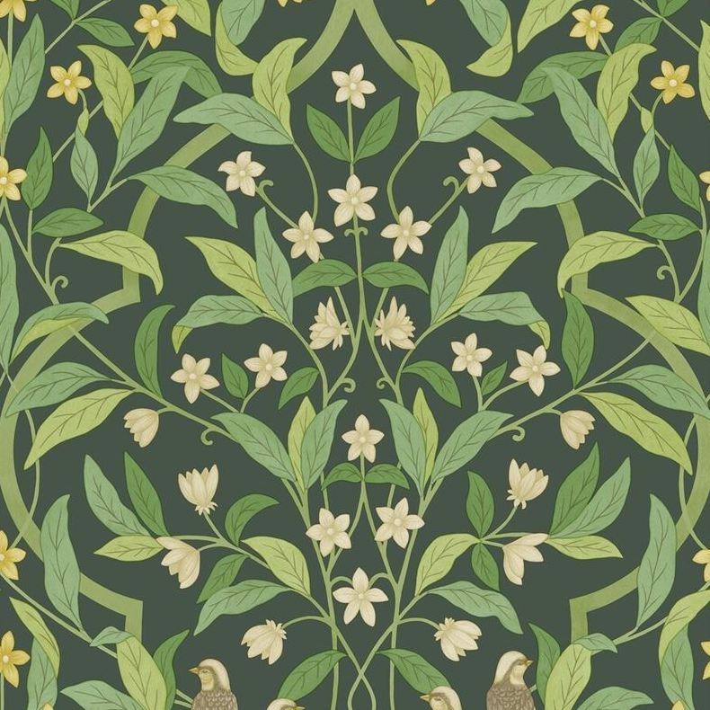 Sample 117/10029 Jasmine and Serin Symphony Green Botanical Cole and Son Wallpaper