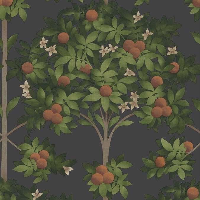 Sample 117/1003 Orange Blossom Orange Botanical Cole and Son Wallpaper