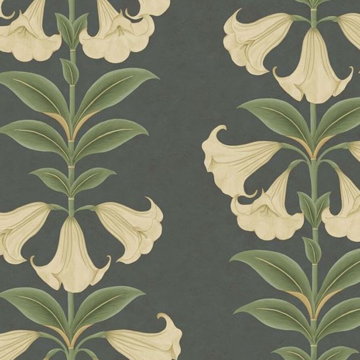Sample 117/3006 Angels Trumpet Black Botanical Cole and Son Wallpaper