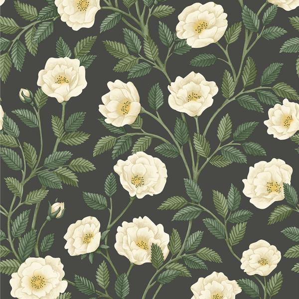 Sample 118/7016 Hampton Roses Multi Color Botanical Cole and Son Wallpaper