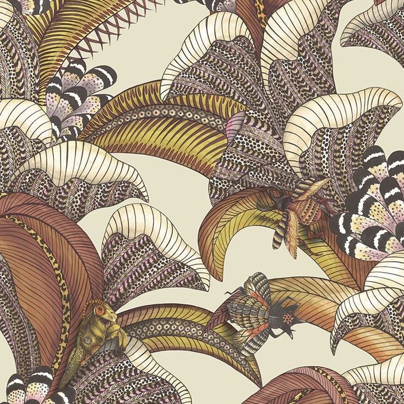 Sample 119/1004 Hoopoe Leaves Crim,Cyellow/Fchsia On Stone Animal/Insects Cole and Son Wallpaper