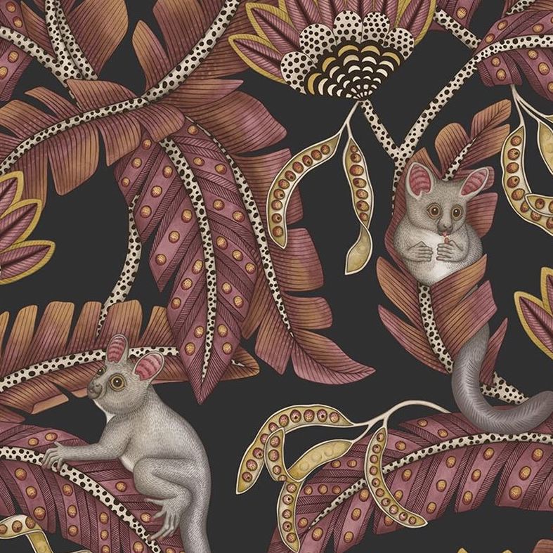 Sample 119/7033 Bush Baby Crmsn and Mrgld/Chrcl Animal/Insects Cole and Son Wallpaper