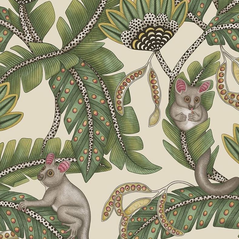 Sample 119/7035 Bush Baby Sge and Chrt/Prchmnt Animal/Insects Cole and Son Wallpaper