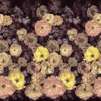 Purchase Pdg1107/01 | Le Poeme De Fleurs - Designer Guild Wallpaper