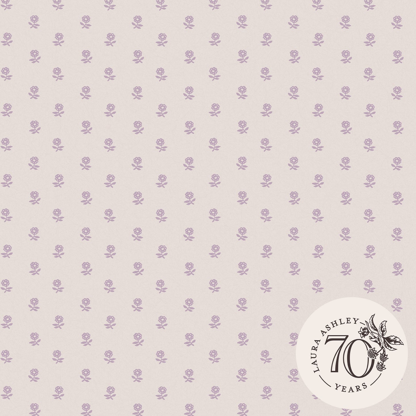 Purchase Laura Ashley Wallpaper Item# 119864 Daisy Lavender Purple Removable