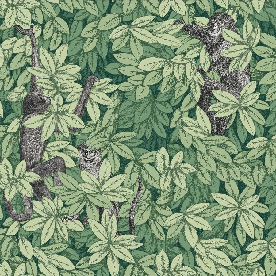 Purchase 123/10049 Foglie E Scimmie, Green Leaf - Cole & Son Wallpaper - 123/10049.Cs.0