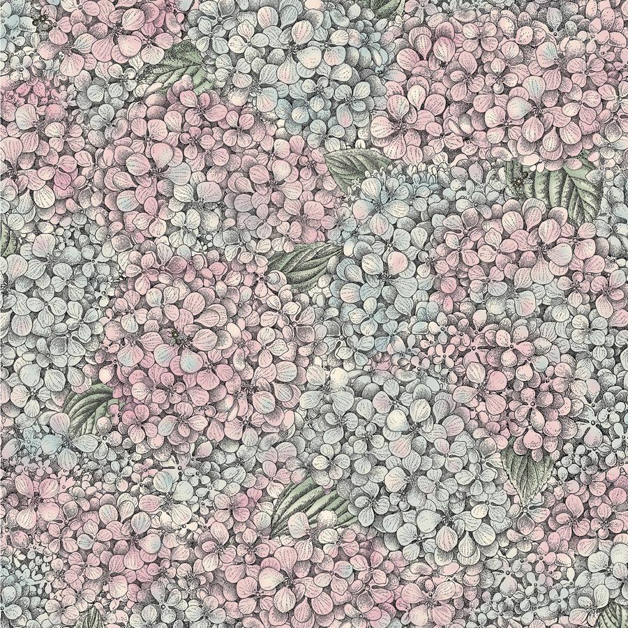Purchase 123/9045 Ortensia, Pink Botanical - Cole & Son Wallpaper - 123/9045.Cs.0