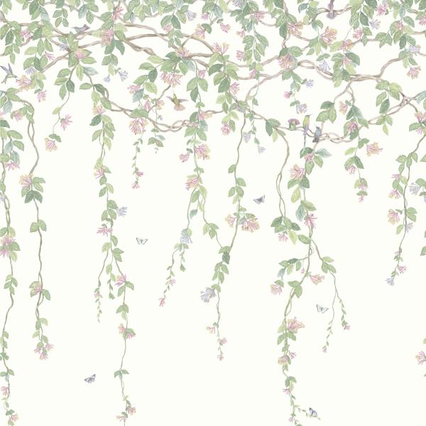 Purchase 124/2008 Hummingbirds Flora, Blush Botanical - Cole & Son Wallpaper