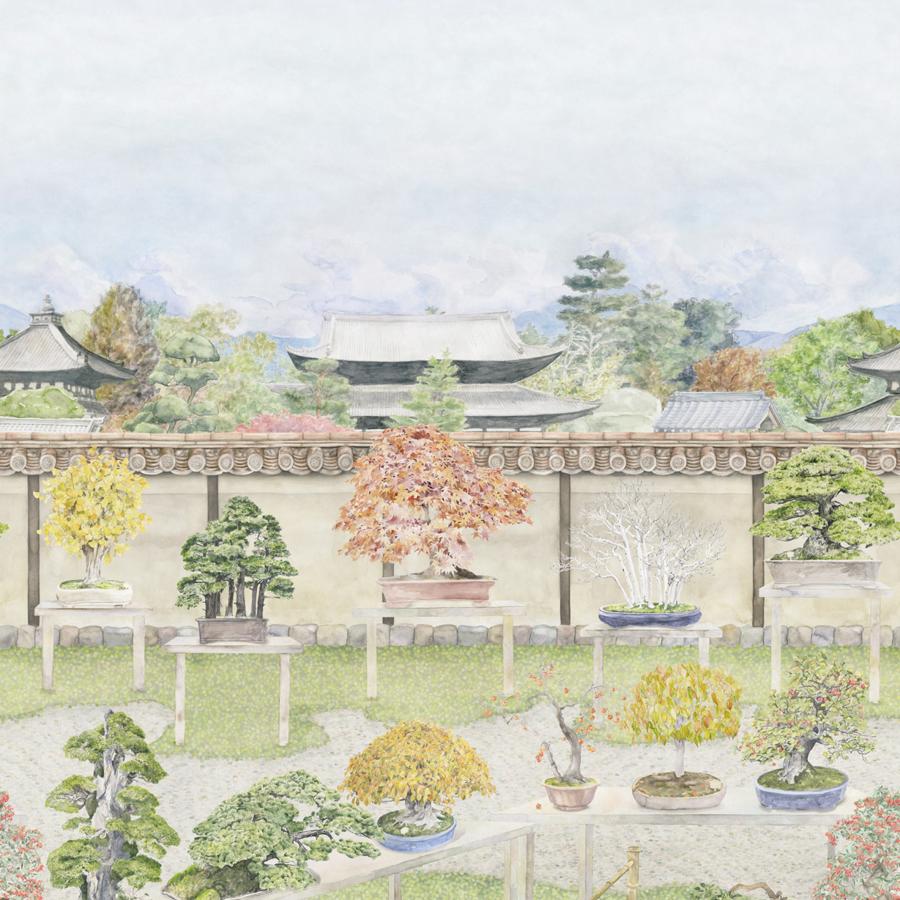 Purchase 126/1002 Bonsai Garden, Powder Chinoiserie - Cole & Son Wallpaper