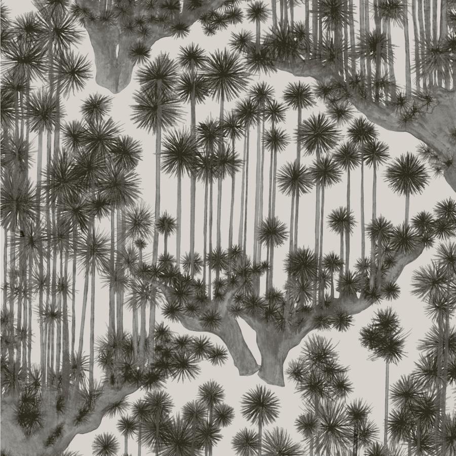 Purchase 126/6018 Japanese Woods, Charcoal Chinoiserie - Cole & Son Wallpaper