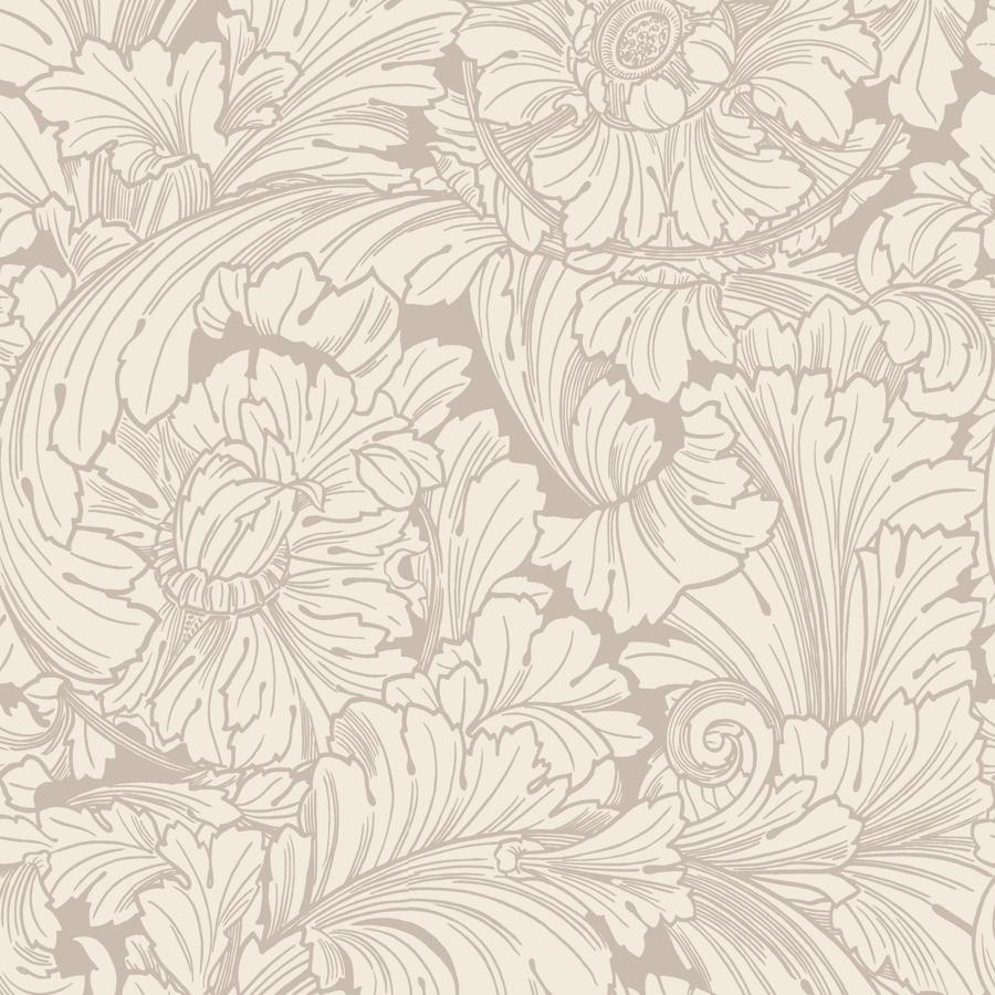 Purchase 127/6029 Acanthus, Cream/Pebble Damask - Cole & Son Wallpaper
