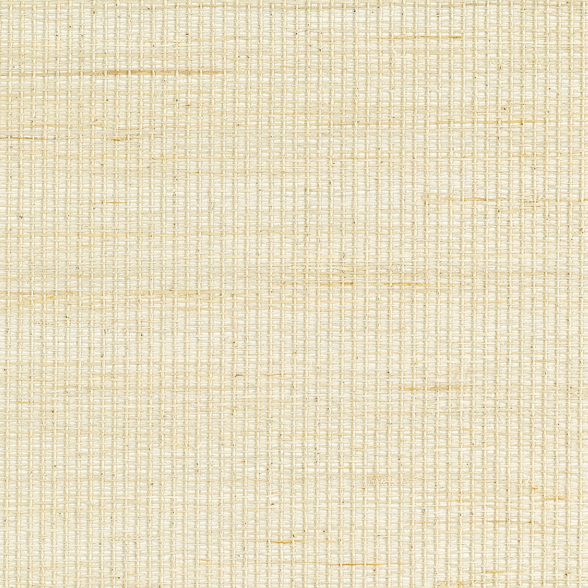 Purchase Phillip Jeffries Wallpaper - 31700, Brighton Weave - Ivory