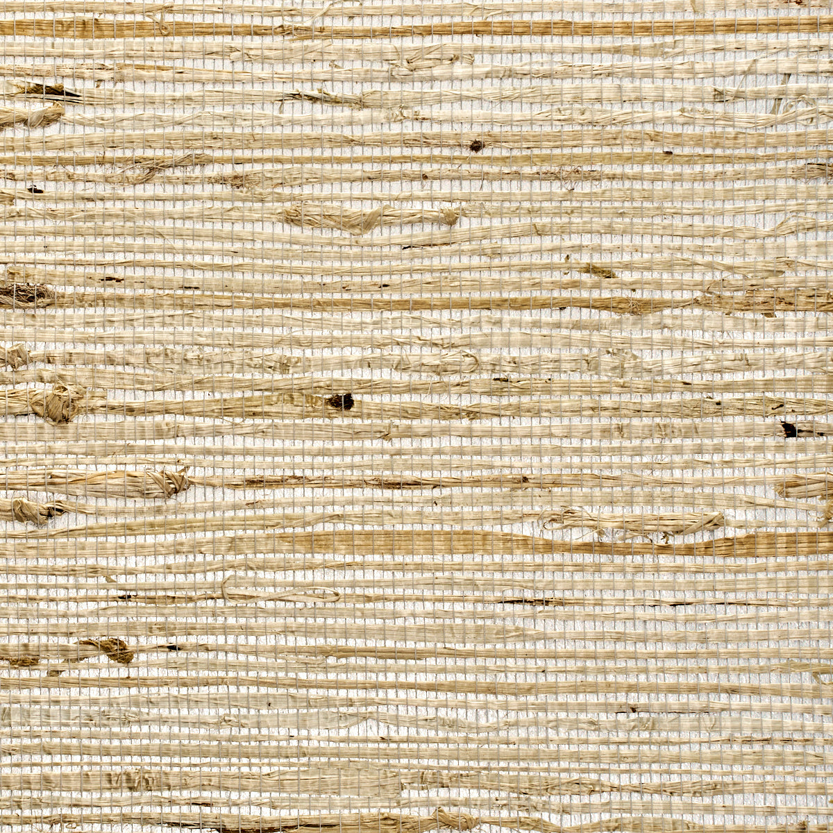 Purchase 3844 Extra Fine Arrowroot Silver Juxtapoz Phillip Jeffries Wallpaper