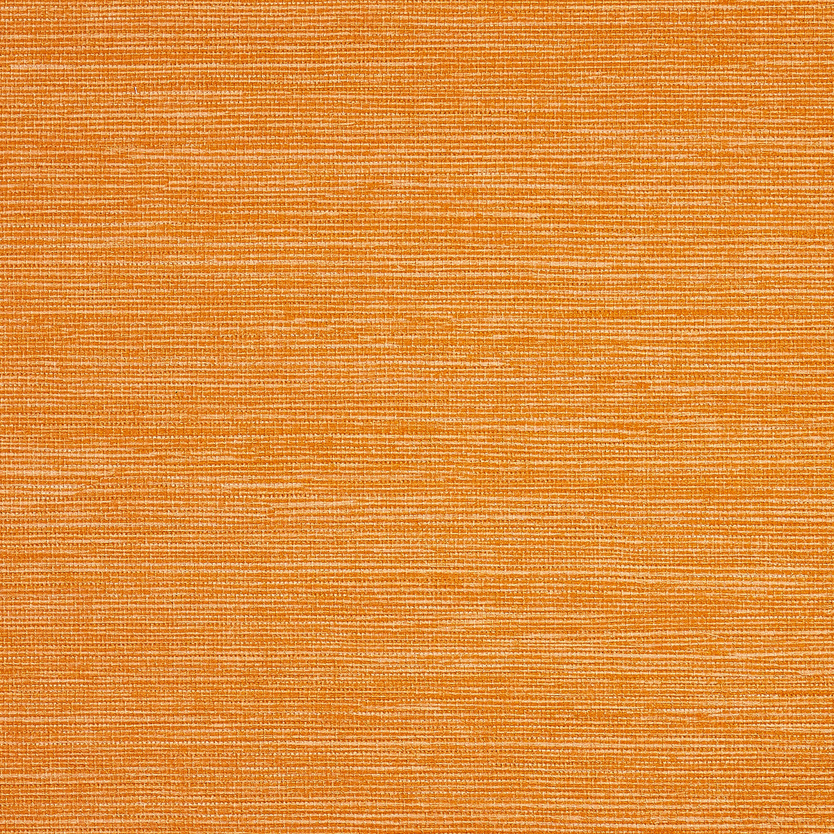 Purchase Phillip Jeffries Wallpaper - 9790, Pj Color Splash ™ - Clementine