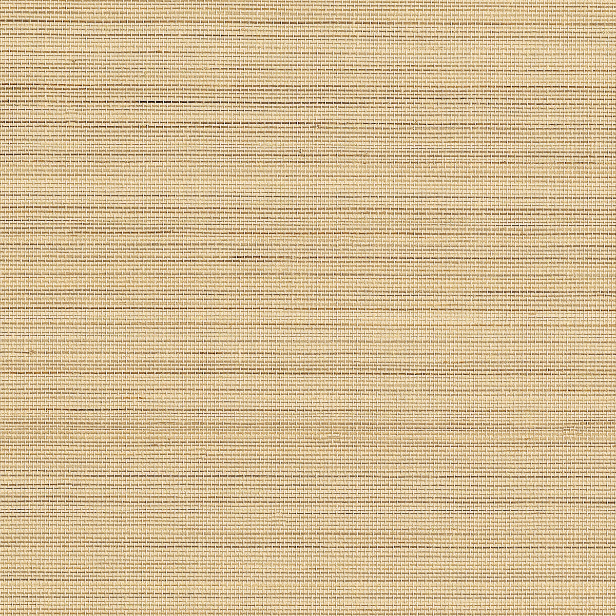 Purchase Phillip Jeffries Wallpaper - 23700, Abaca Harvest - Sunlit Sands
