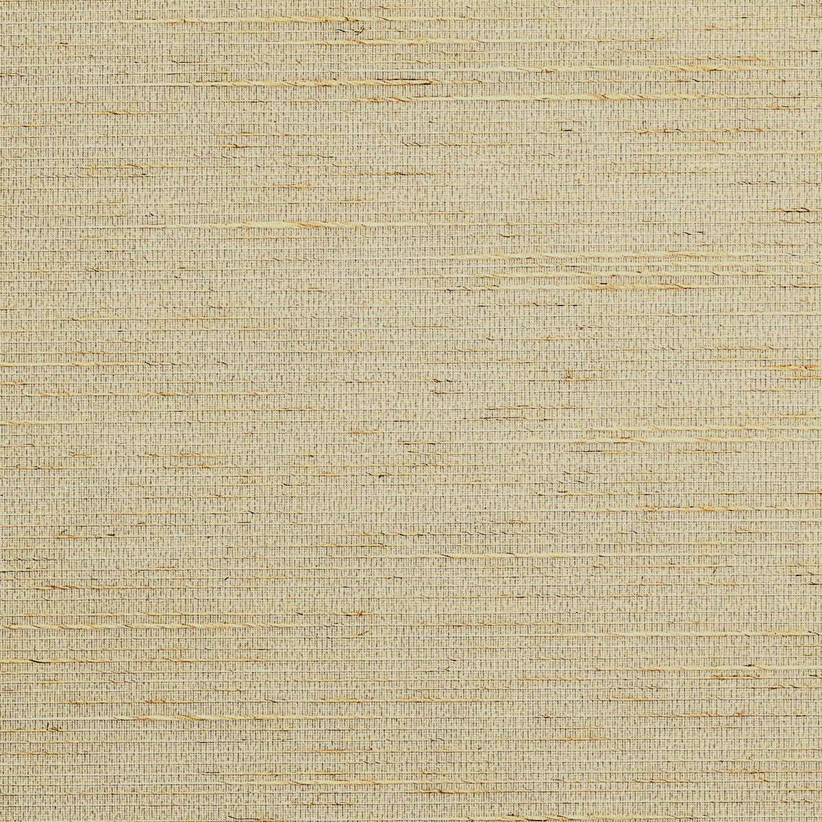 Purchase Phillip Jeffries Wallpaper - 10057, Seasonal Silk - Sandstone