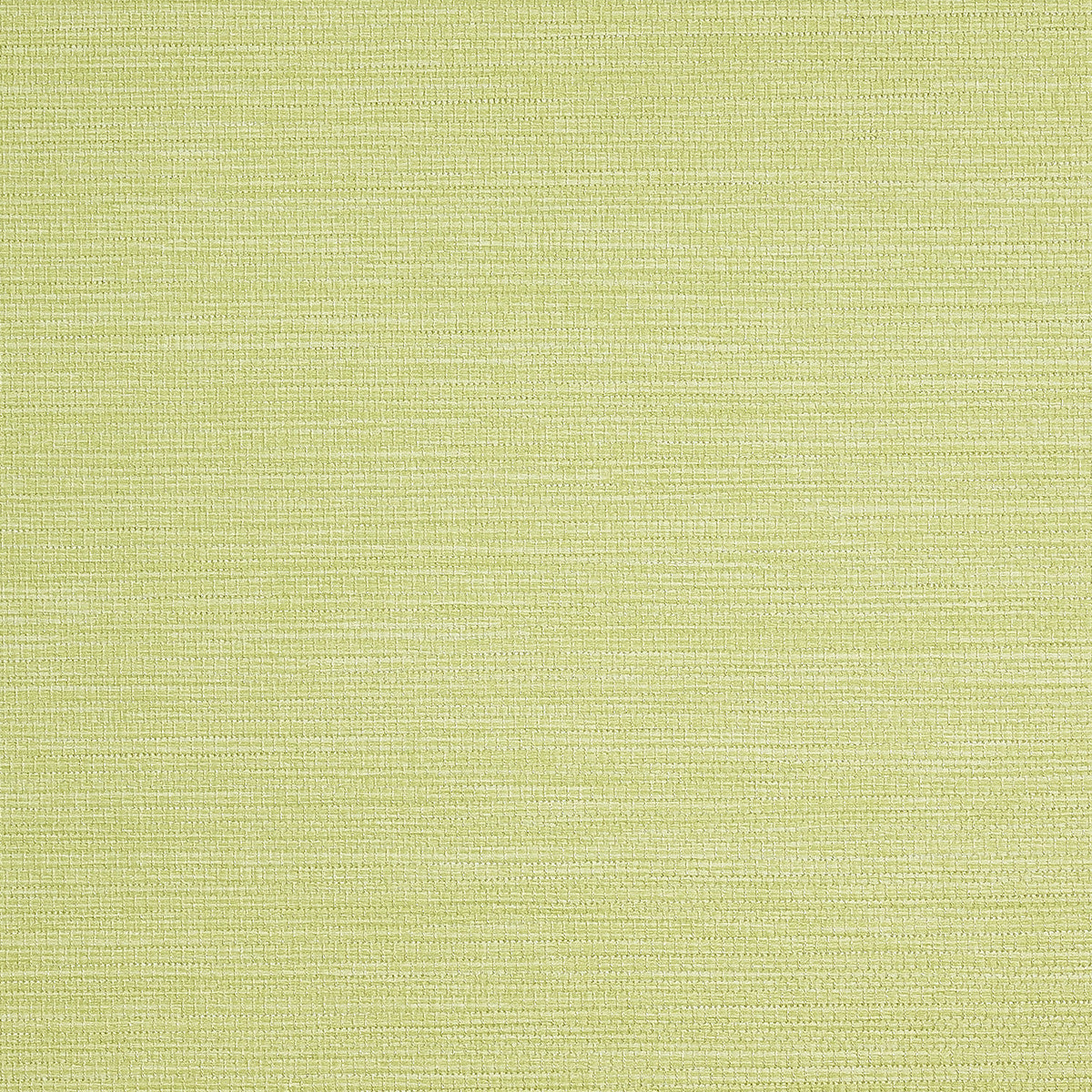 Purchase Phillip Jeffries Wallpaper - 9739, Pj Color Splash ™ - Key Lime