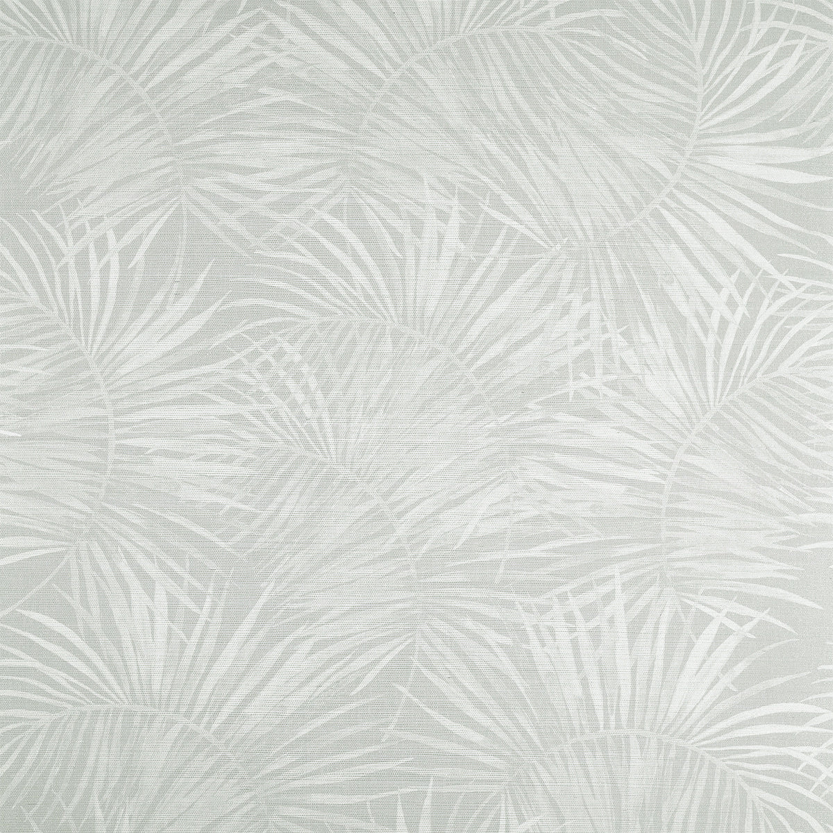 Purchase Phillip Jeffries Wallpaper - 10453, Island Time - Calm Palm