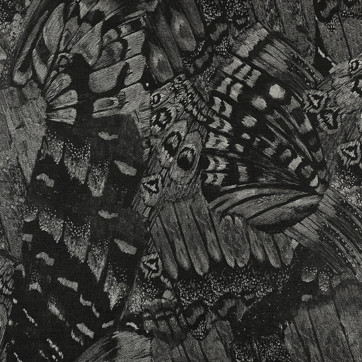 Purchase Phillip Jeffries Wallpaper - 9838, Aflutter - Buzzing Black