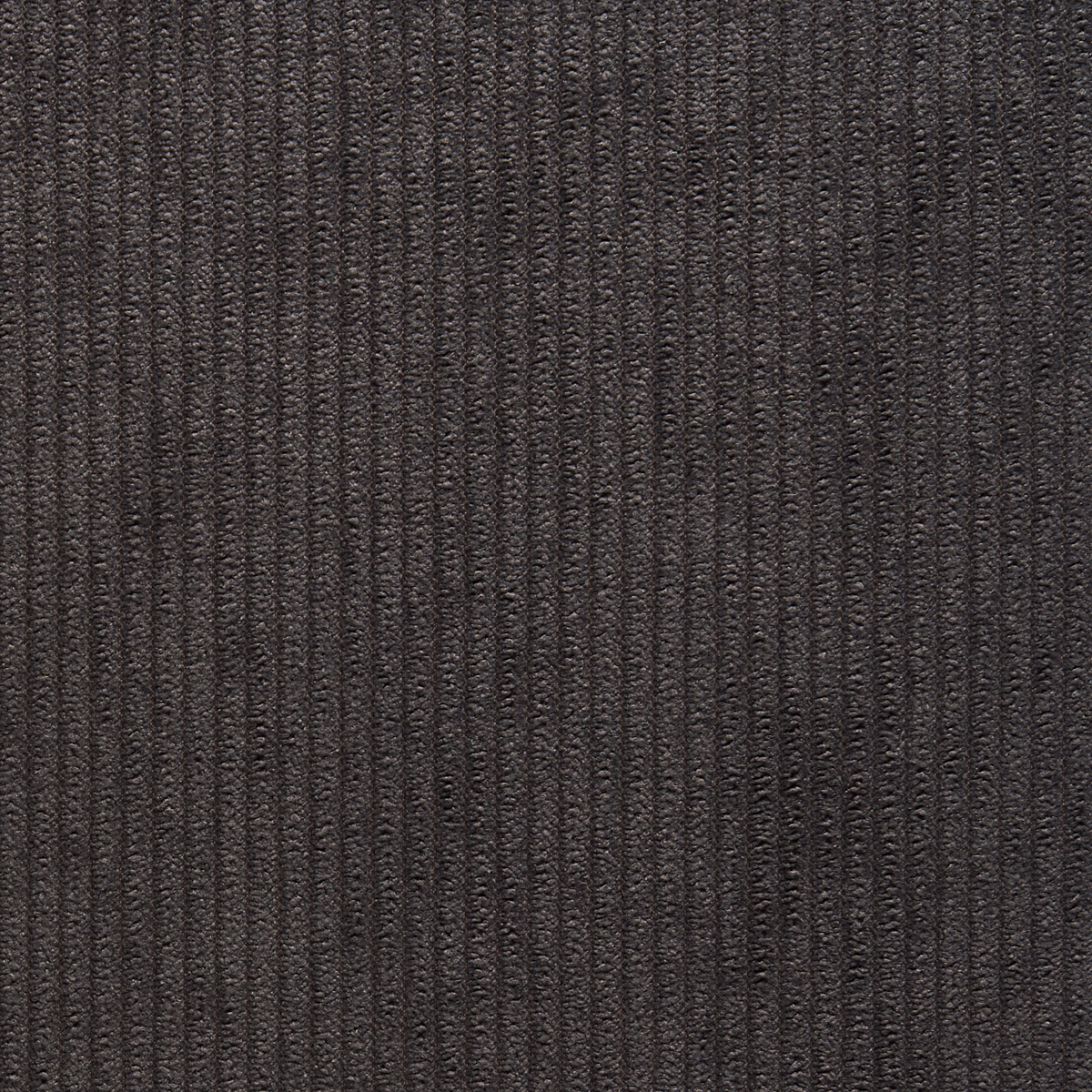 Purchase 8925 Corduroy Cloth Charcoal Jacket Phillip Jeffries