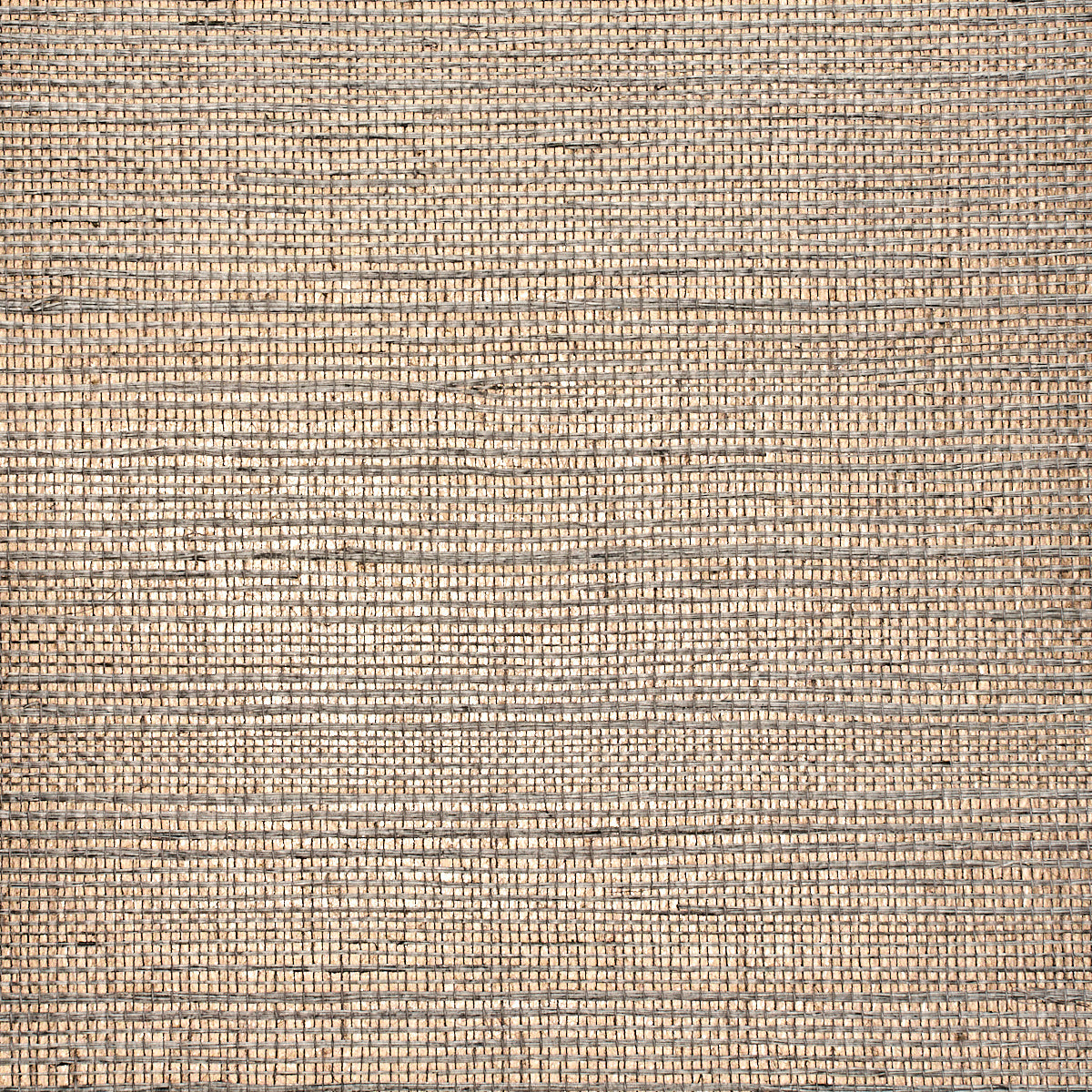 Purchase 1942 Glam Grass II Well Traveled Taupe Phillip Jeffries Wallpaper