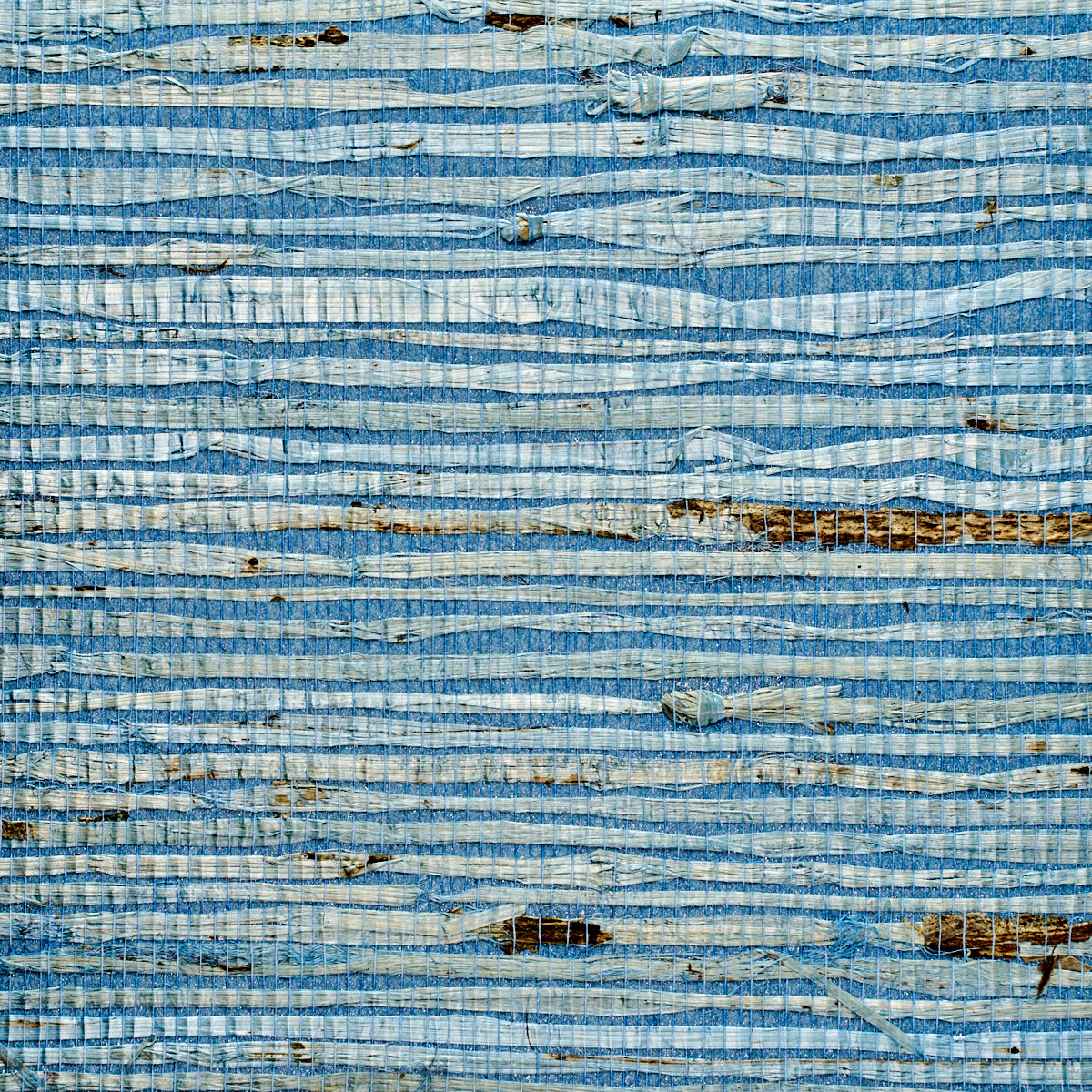 Purchase 1966 Extra Fine Arrowroot Mediterranean Phillip Jeffries Wallpaper