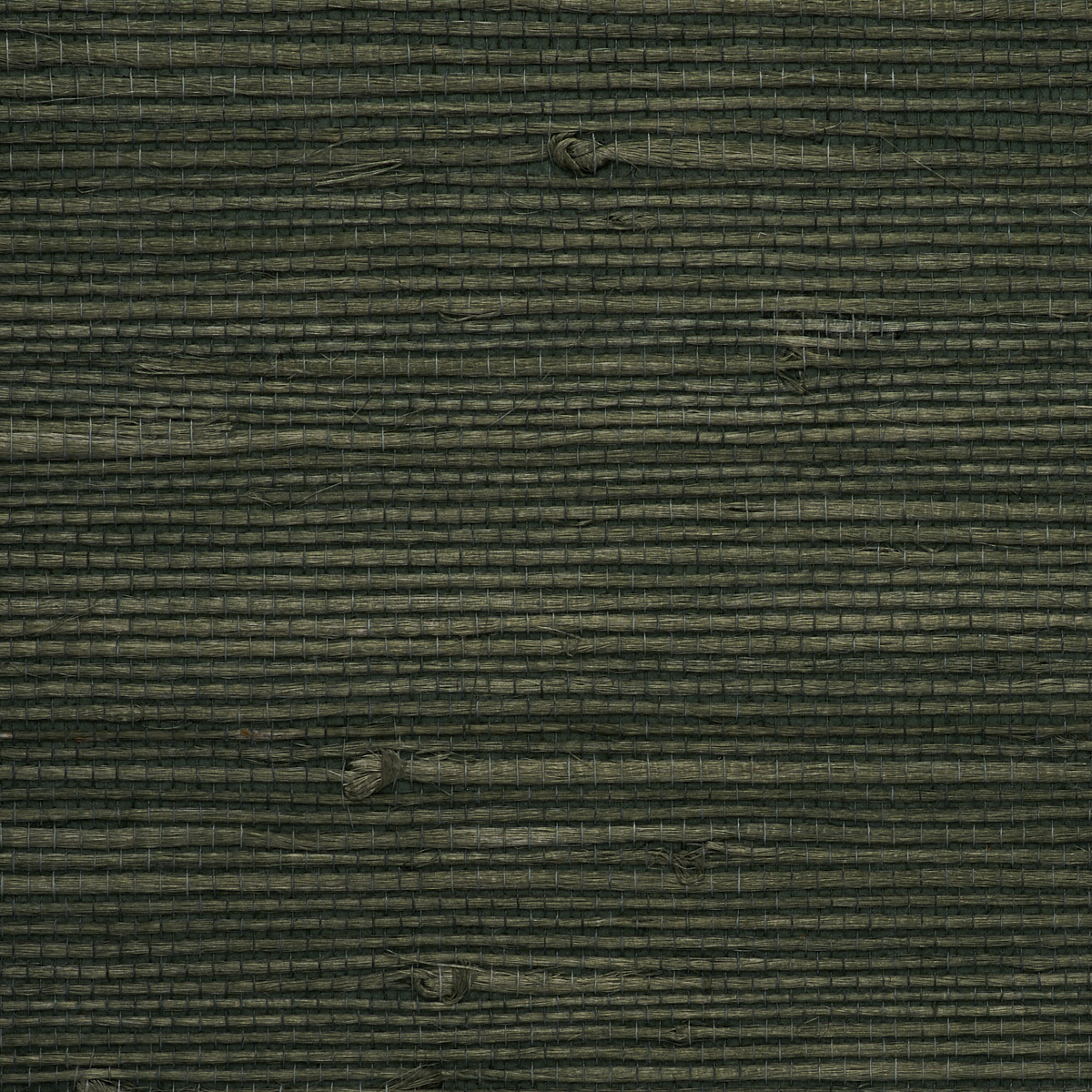 Purchase 4773 Juicy Jute II Racing Green Phillip Jeffries