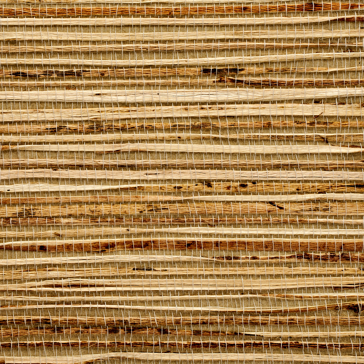 Purchase 3367 Grass Roots Eric's Ecru Phillip Jeffries Wallpaper