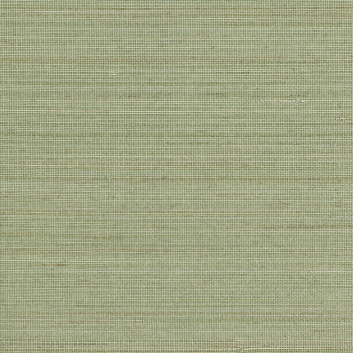Purchase Phillip Jeffries Wallpaper - 23707, Abaca Harvest - Calm Celadon