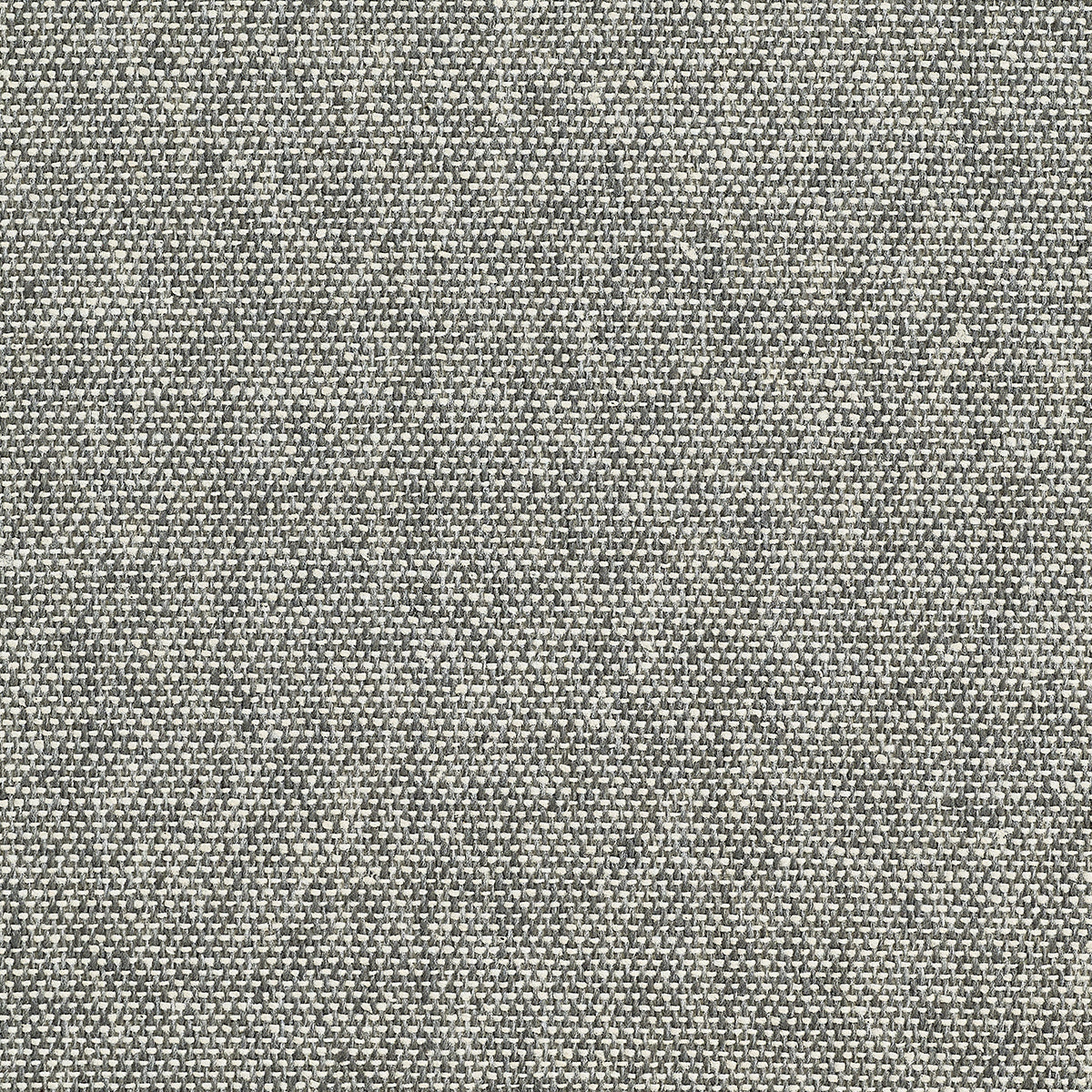 Purchase 5456 Tweed Donegal Grey Phillip Jeffries Wallpaper