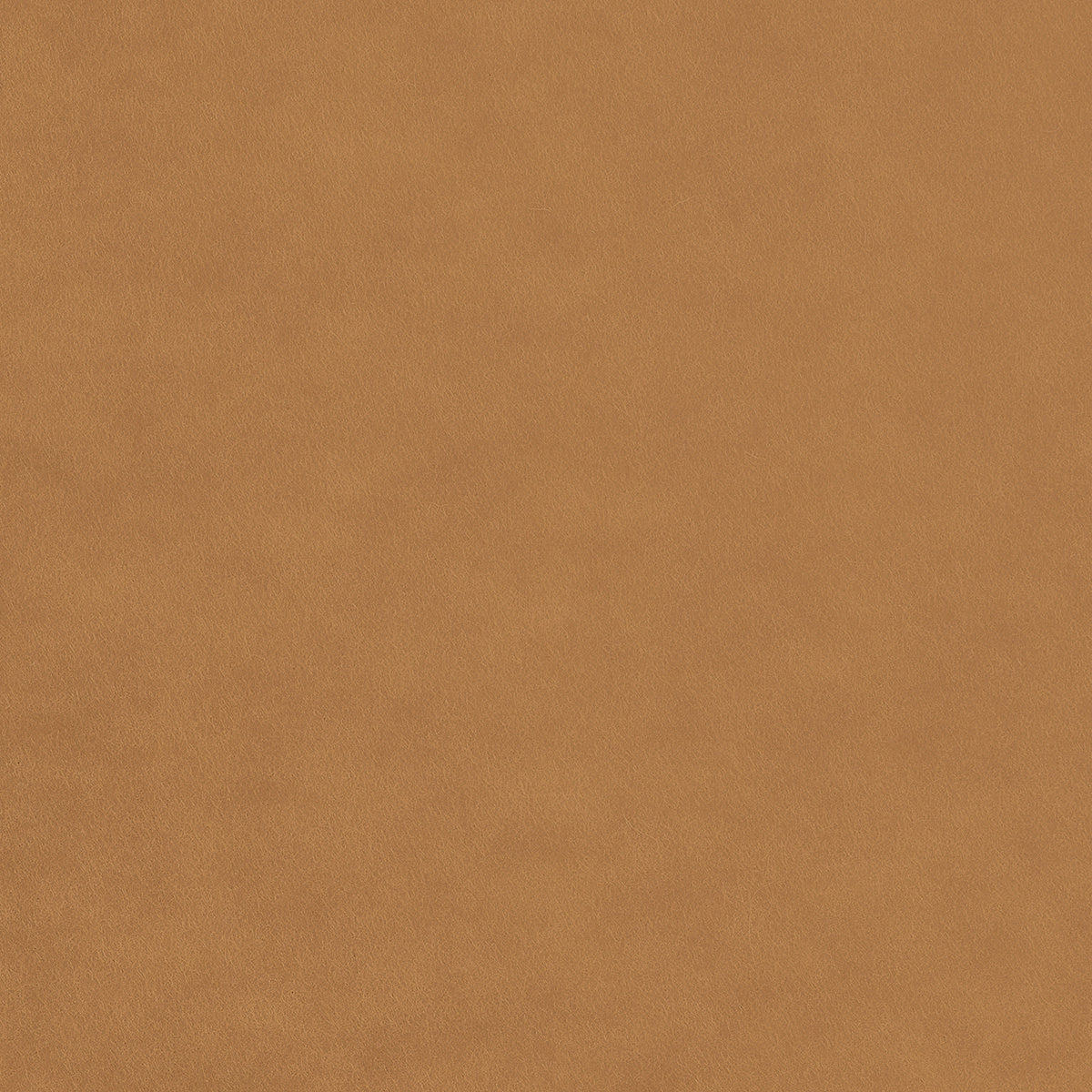 Purchase 4436 Savile Suiting Solids Tailored Tan Phillip Jeffries Wallpaper