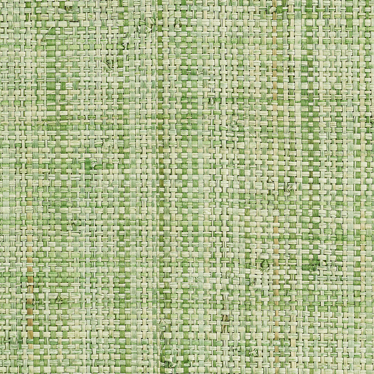 Purchase 1155 Island Raffia Congo Line Lime Phillip Jeffries Wallpaper